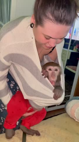 4_5962905201017886159