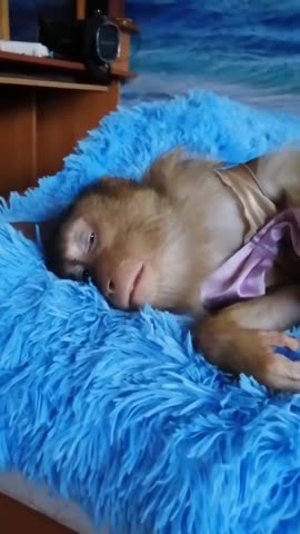 4_5958485366137688604