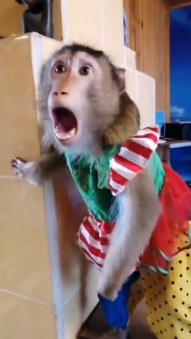 4_5956233566324002930