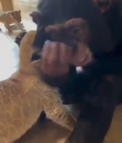 4_5956233566324002929