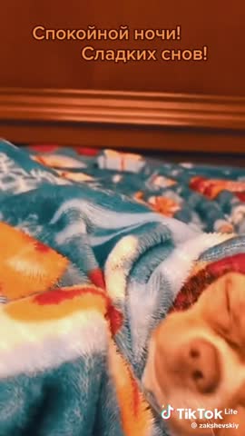 video-15881156eb3d324faa5b63b0c722eed4-V