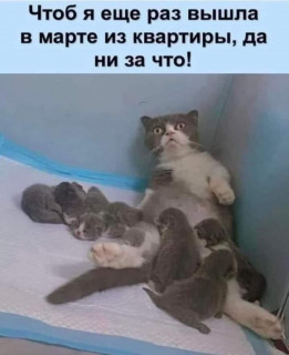 FB_IMG_1709019427699