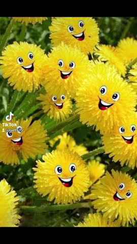 2024-02-27-121640607