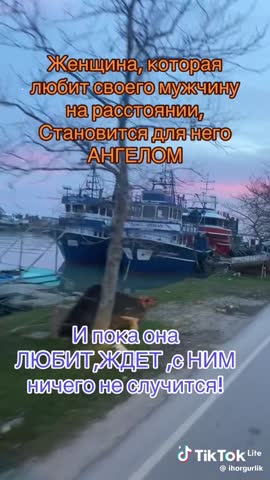 9a822cb874a2d9c548a1503fd1459d34