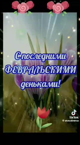 WhatsApp_Video_2024-02-28_at_07_44_27