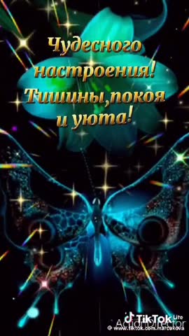 VID-20240228-WA0193