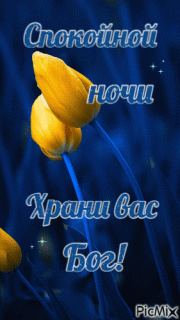 GIF-9fa391ef3f779e817856f85b97910e4a