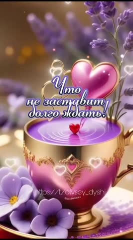 VID-20240229-WA0117