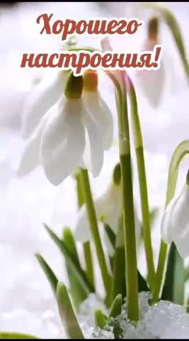 VID-20240229-WA0153