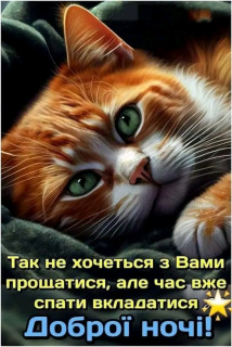 FB_IMG_17092371411254685