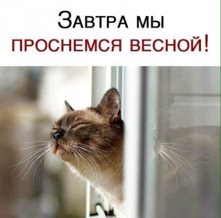 IMG-9e3b665035453e967753b17121d7bcde-V