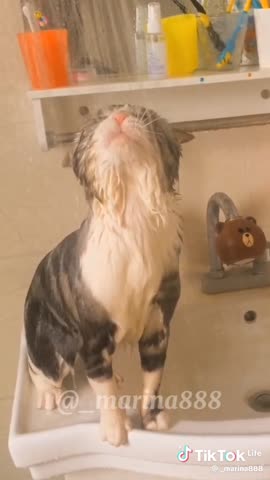 WhatsApp_Video_2024-03-01_at_10_35_56