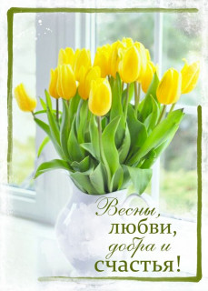 Тюльпаны
