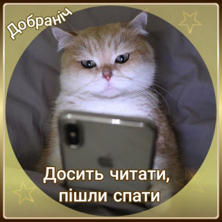 IMG-64ca040e416b3ddee256c43d2a8b0ce3-V