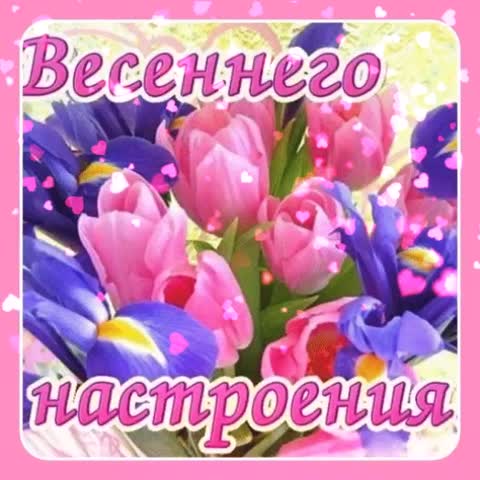 VID-20240302-WA0006
