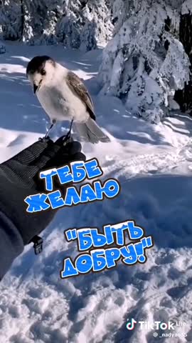 WhatsApp_Video_2024-03-02_at_08_17_18