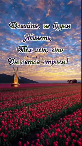VID_20240303_141150_731