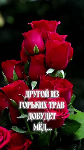 VID_20240303_141555_388