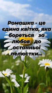 FB_IMG_17094986421966826