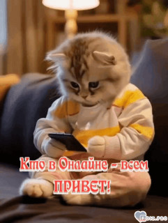 Foiz_PRO_Foiz_PRO_-375890-Привет-