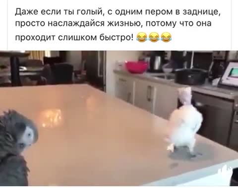 наслаждайся_жизню