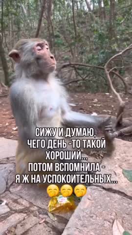 День_хороший
