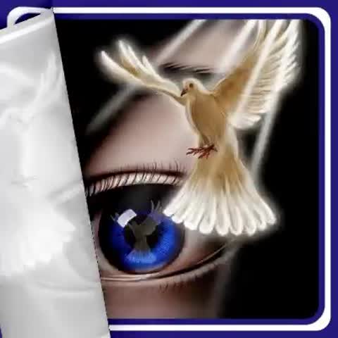 VID-20240305-WA0382