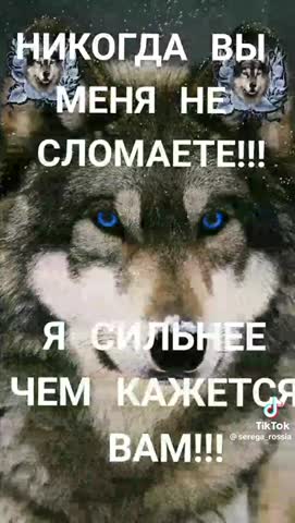 НЕ КОГДА ВЫ МЕНЯ НЕ СЛОМАЕТЕ
