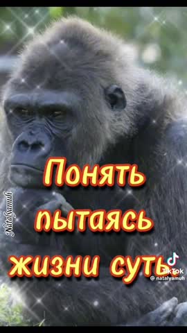 МЫСЛИ