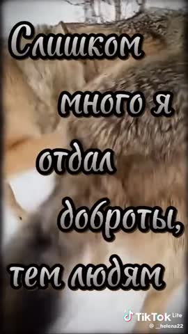 10222eedd17ee123764082d55f30a861