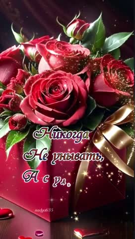 VID_20240307_222357_244