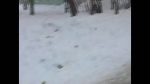 Поздравление_с_8_марта