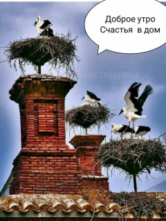 IMG-6df1ee65689fdcfd93915c26df79ec63-V