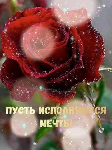 SaveTik_co_6937035186253204738-hd