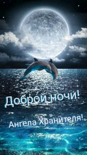 FB_IMG_17099292233603760