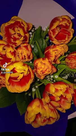 2024-03-09-094009938