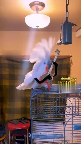 рок_навсегда