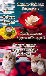 FB_IMG_17100931946589677