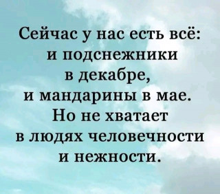 FB_IMG_17100926276782747