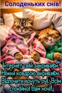 FB_IMG_17100918449930315