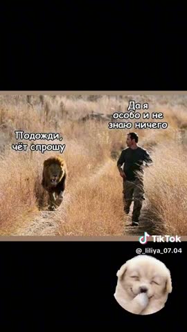 c8750011ecfe9f4aa8763232e7c93ddd