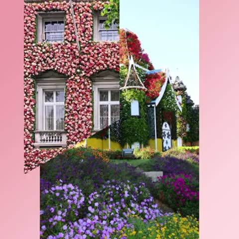цветочные_дома