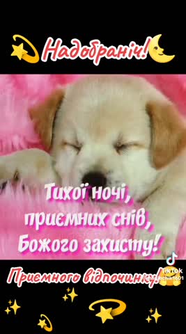 video-3637b89d4957e7e9c36de3fd61aea787-V