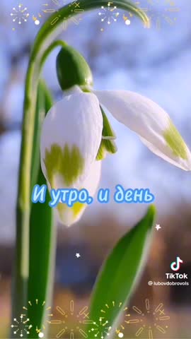 WhatsApp_Video_2024-03-12_at_09_06_21
