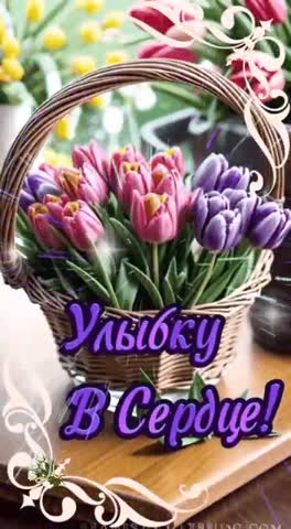 VID-20240316-WA0010