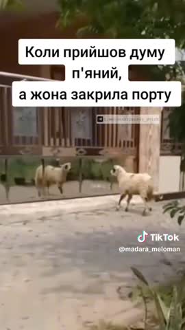 ахах