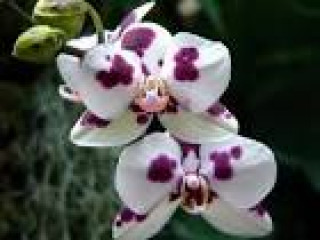 images-13