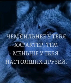 FB_IMG_17107885506852871