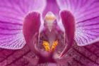 images-14