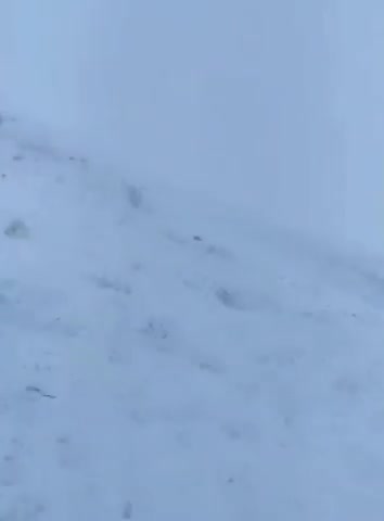 алкаши_придурки